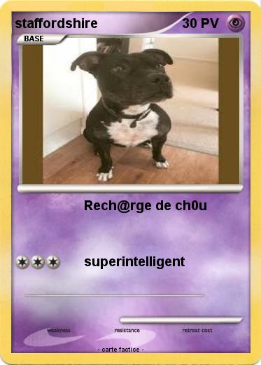 Pokemon staffordshire