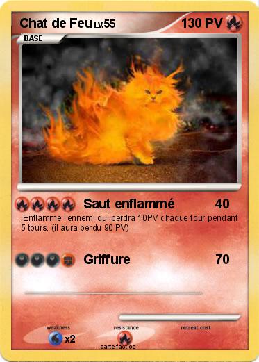 Pokemon Chat de Feu