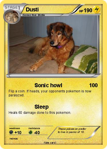 Pokemon Dusti