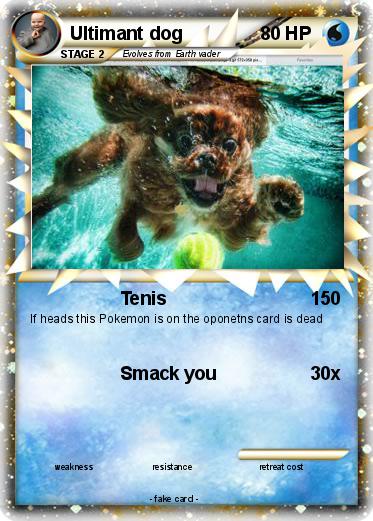 Pokemon Ultimant dog