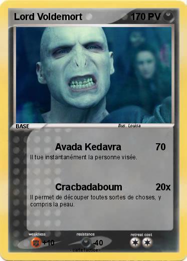 Pokemon Lord Voldemort
