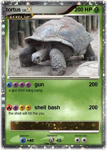 Pokemon tortus