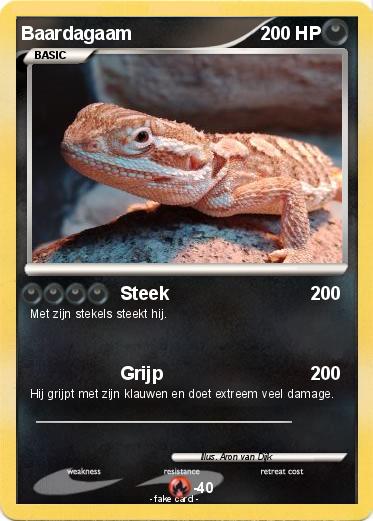 Pokemon Baardagaam
