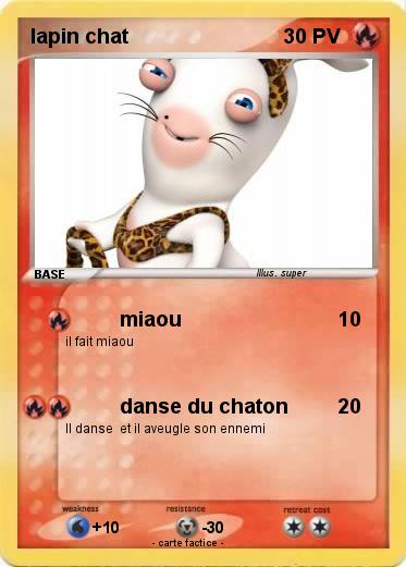 Pokemon lapin chat