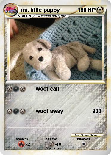 Pokemon mr. little puppy