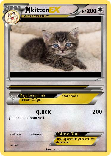 Pokemon kitten