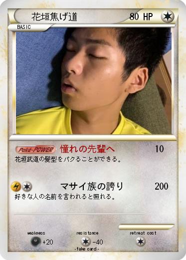 Pokemon 花垣焦げ道