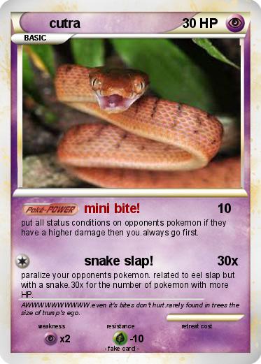 Pokemon cutra
