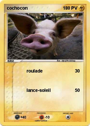 Pokemon cochocon