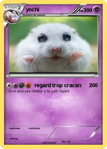 Pokemon yochi