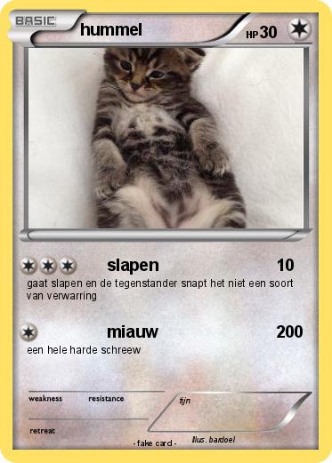 Pokemon hummel