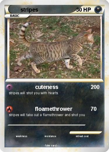 Pokemon stripes