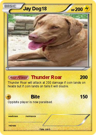 Pokemon Jay Dog18