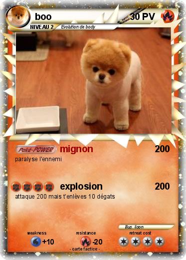 Pokemon boo