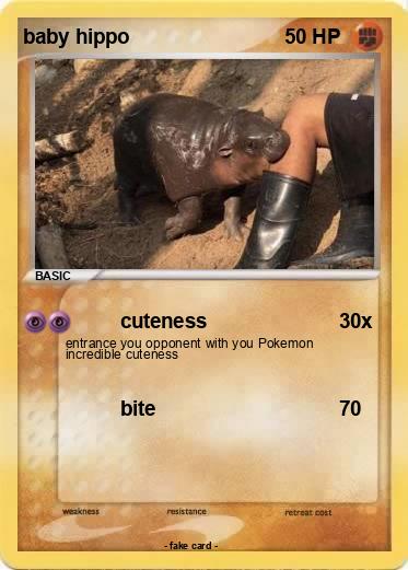 Pokemon baby hippo