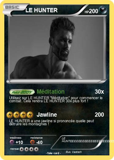 Pokemon LE HUNTER