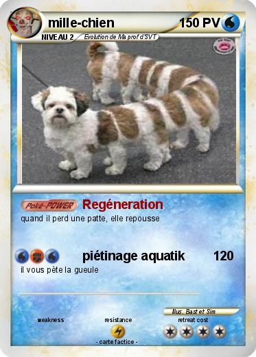 Pokemon mille-chien