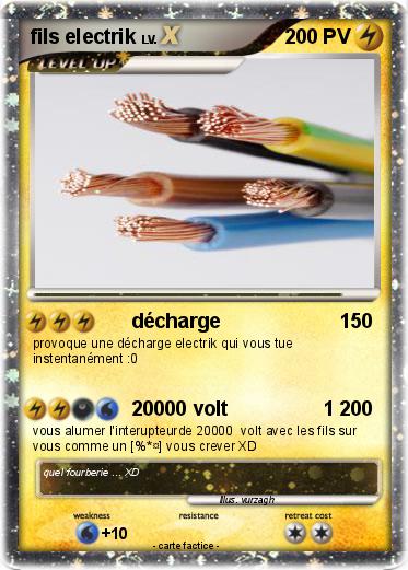 Pokemon fils electrik