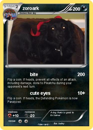 Pokemon zoroark