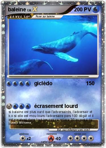Pokemon baleine