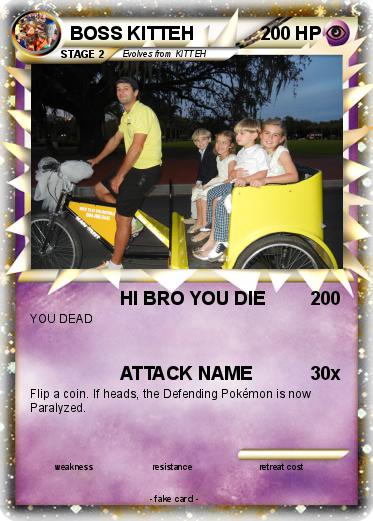 Pokemon BOSS KITTEH