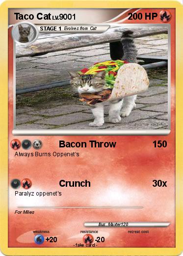 Pokemon Taco Cat