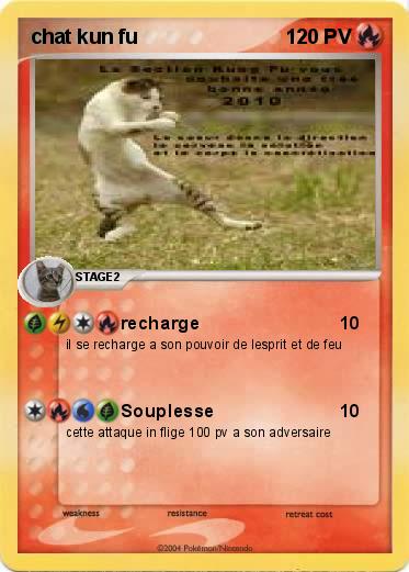 Pokemon chat kun fu