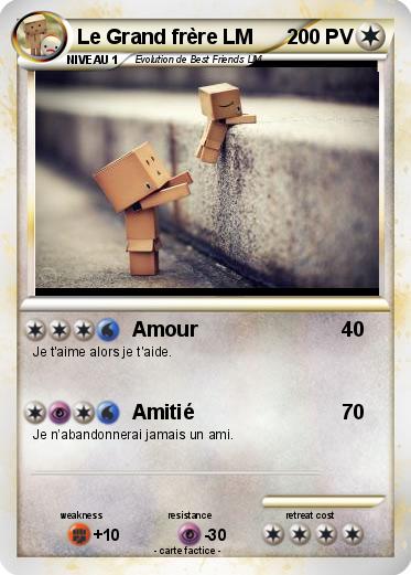 Pokemon Le Grand frère LM