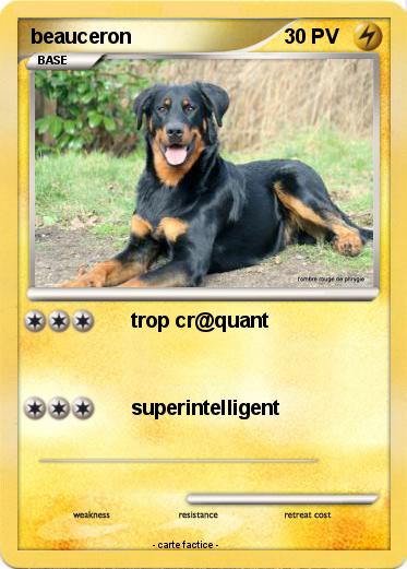 Pokemon beauceron