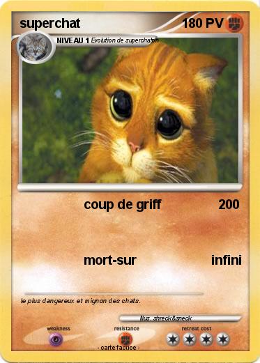 Pokemon superchat
