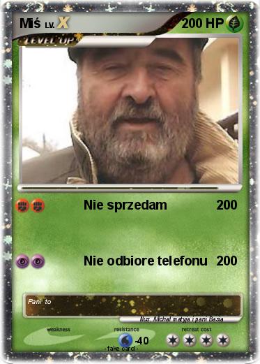 Pokemon Miś