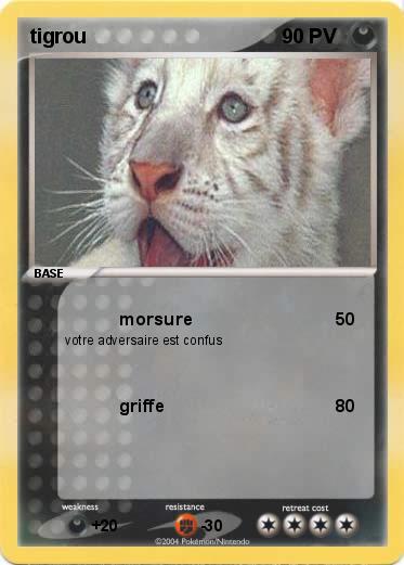 Pokemon tigrou