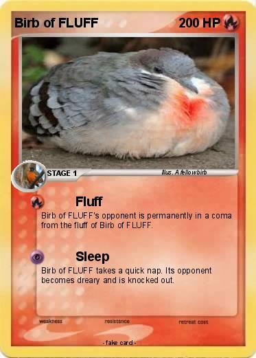 Pokemon Birb of FLUFF