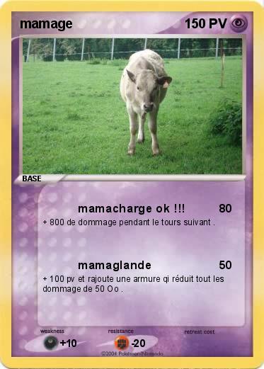 Pokemon mamage