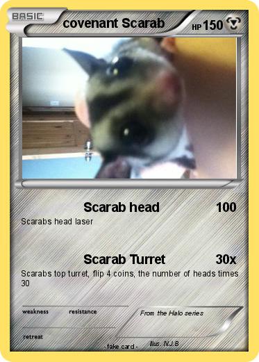Pokemon covenant Scarab