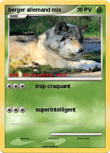 Pokemon berger allemand mix
