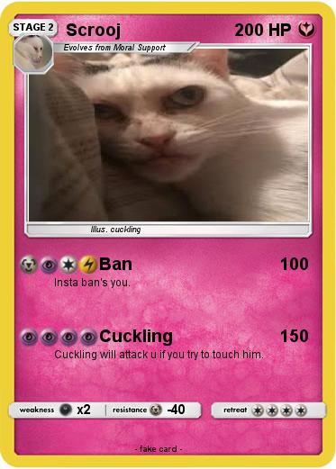 Pokemon Scrooj