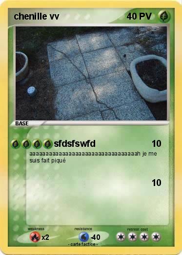 Pokemon chenille vv
