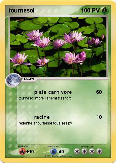Pokemon tournesol