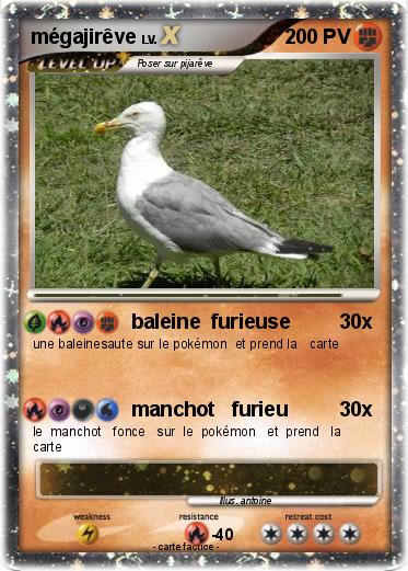 Pokemon mégajirêve
