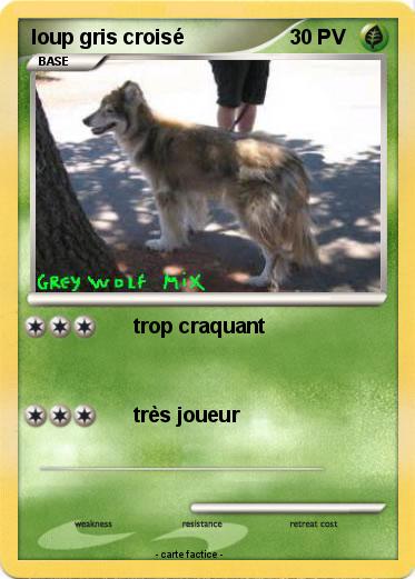 Pokemon loup gris croisé
