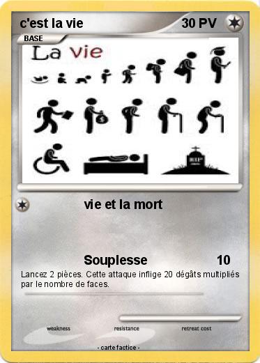 Pokemon c'est la vie