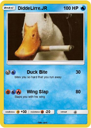 Pokemon DiddeLirre.JR