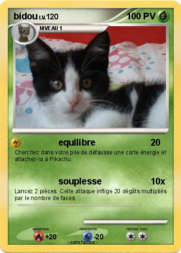 Pokemon bidou