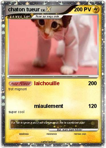 Pokemon chaton tueur