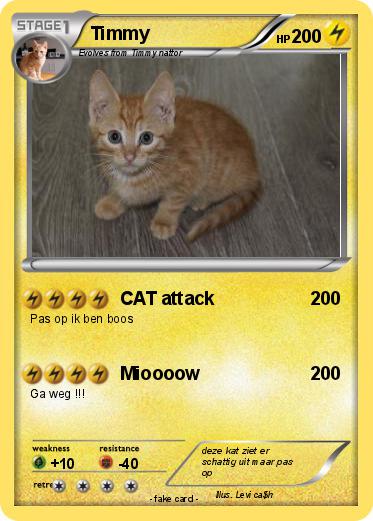 Pokemon Timmy
