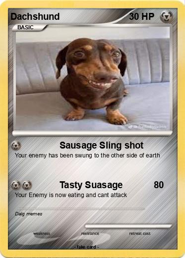 Pokemon Dachshund
