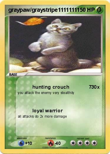 Pokemon graypaw/graystripe11111111