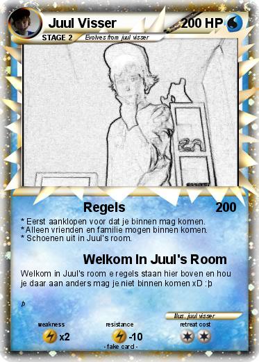 Pokemon Juul Visser