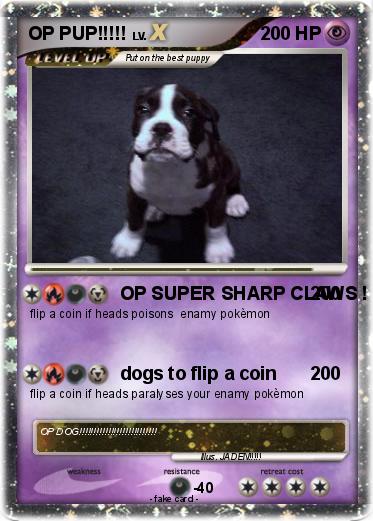 Pokemon OP PUP!!!!!